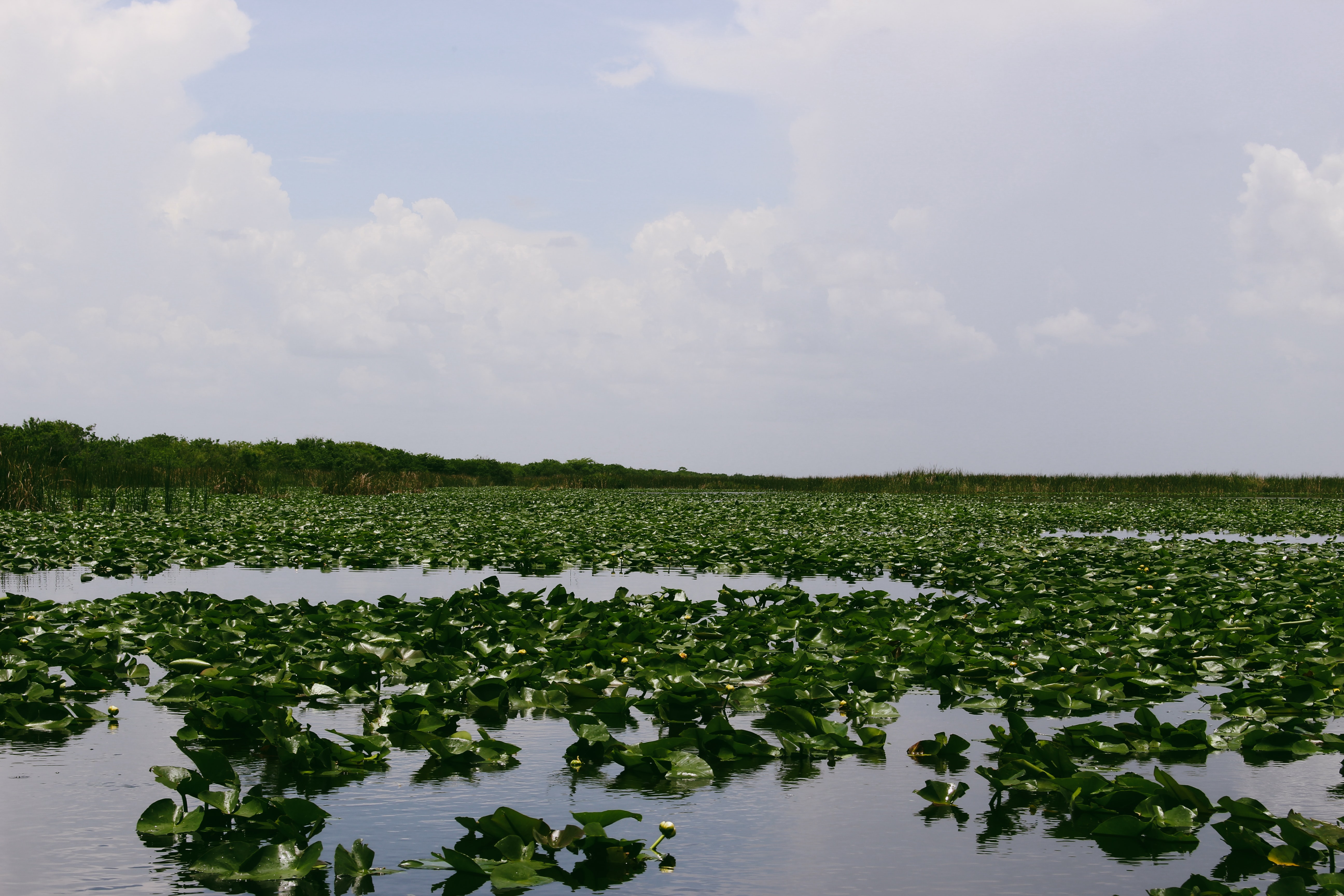 Everglades National Park, Florida